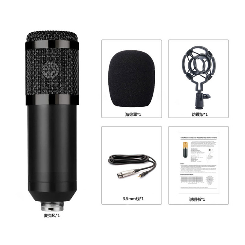 MIC190