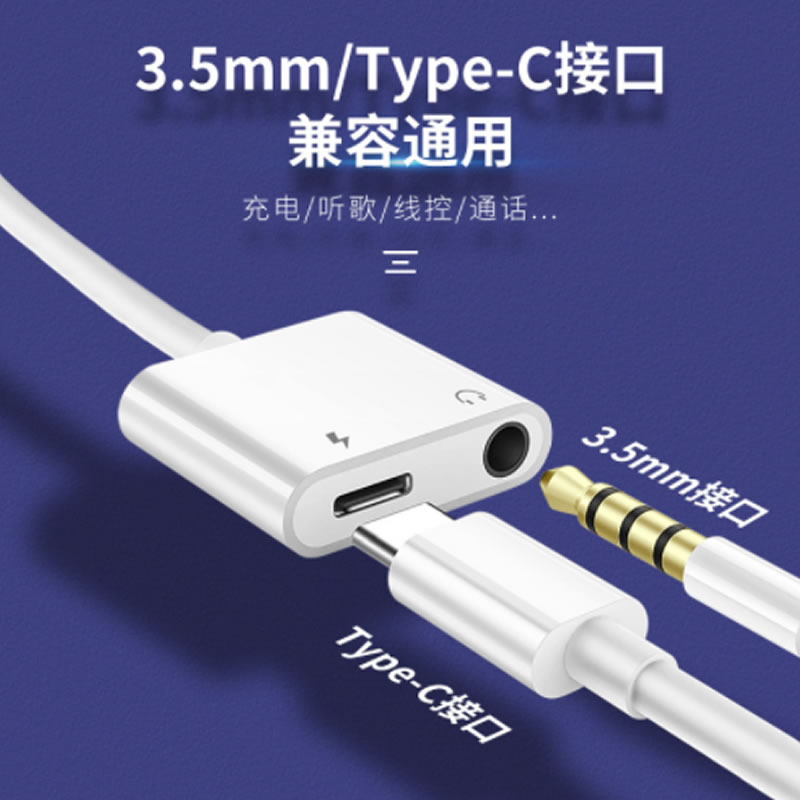 2 in 1 Type C adapter